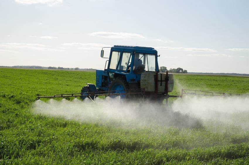 Monsanto mora bolniku z rakom zaradi svojih herbicidov plačati 289 milijonov dolarjev odškodnine 2
